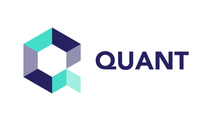 chainlink vs quant